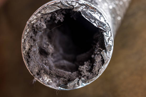Best Duct Cleaning Specialists  in White Oak, PA